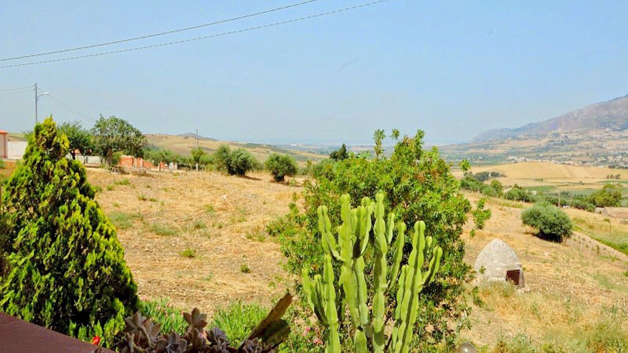 Photo of Outdoor in Mockarta
