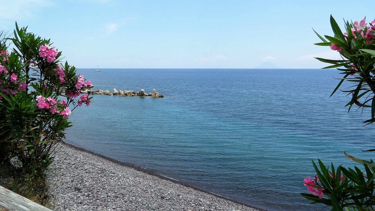 Photo of Others in Santa Marina Salina