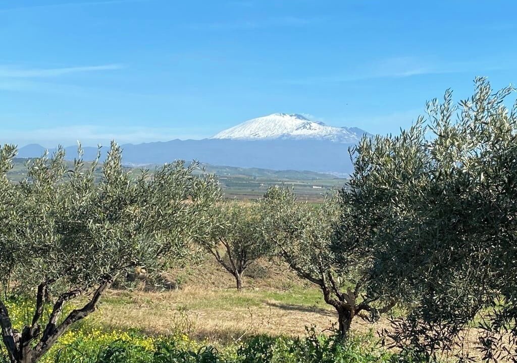 Photo of Outdoor in Ramacca