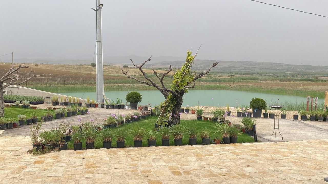 Photo of Outdoor in Ramacca