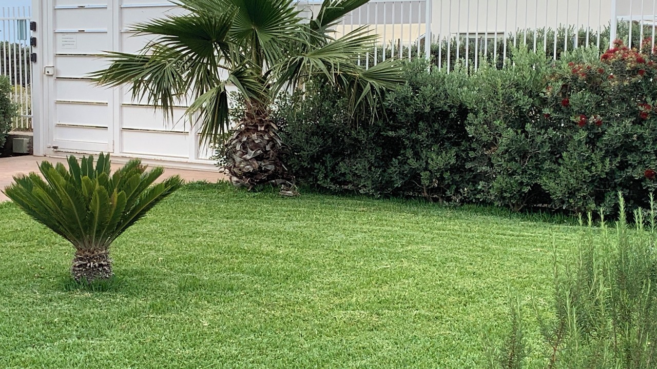 Photo of Outdoor in Terrasini