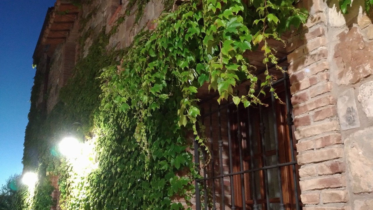 Photo of Outdoor in Lascari
