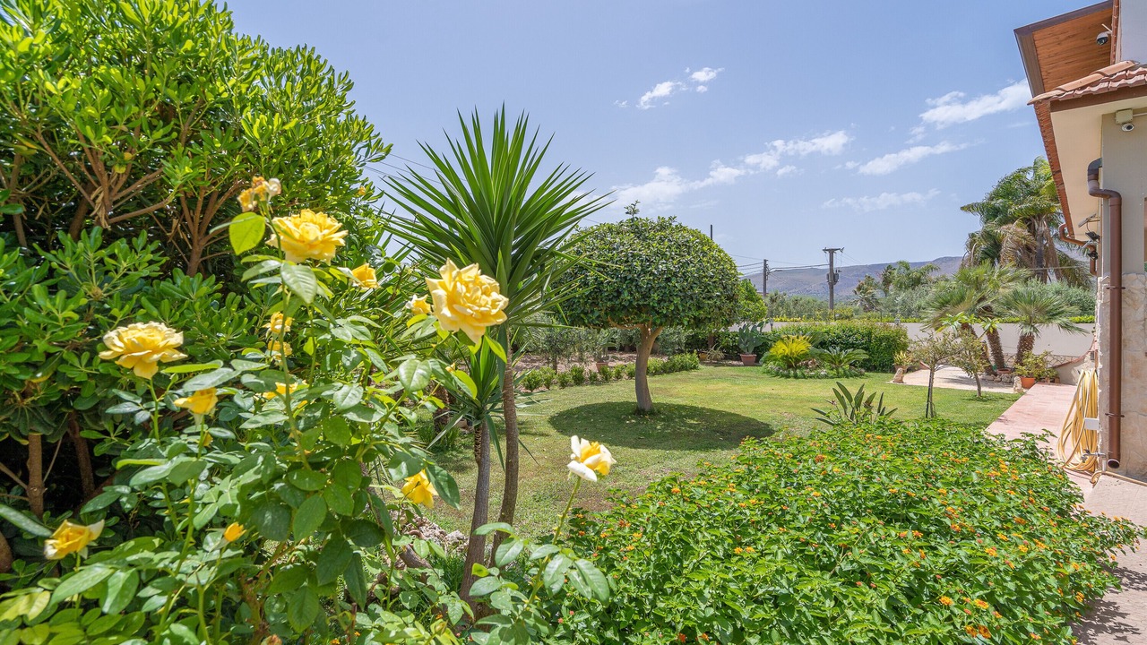 Photo of Outdoor in Gallina