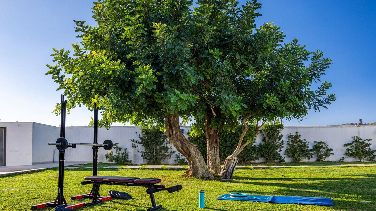 Photo of Outdoor in Mockarta