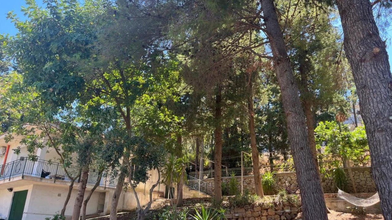 Photo of Outdoor in Torretta