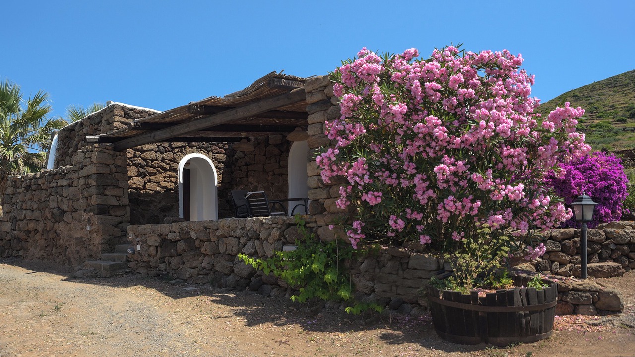 Photo of Outdoor in Pantelleria