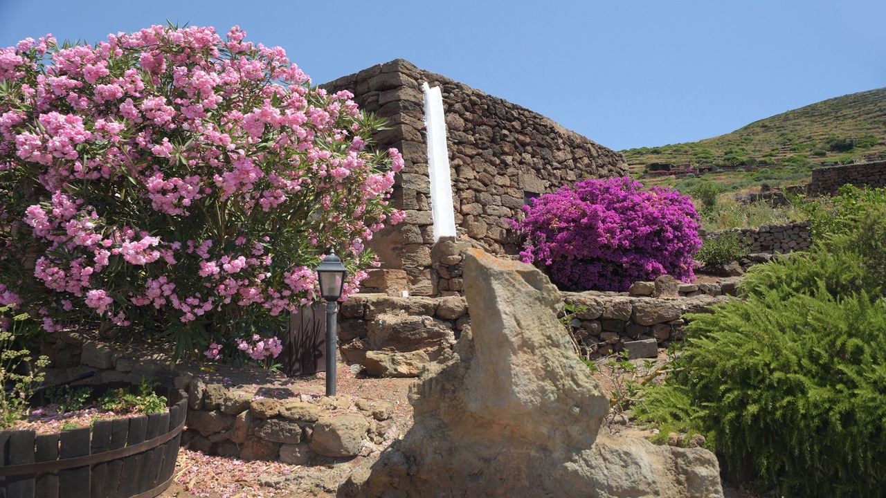 Photo of Outdoor in Pantelleria