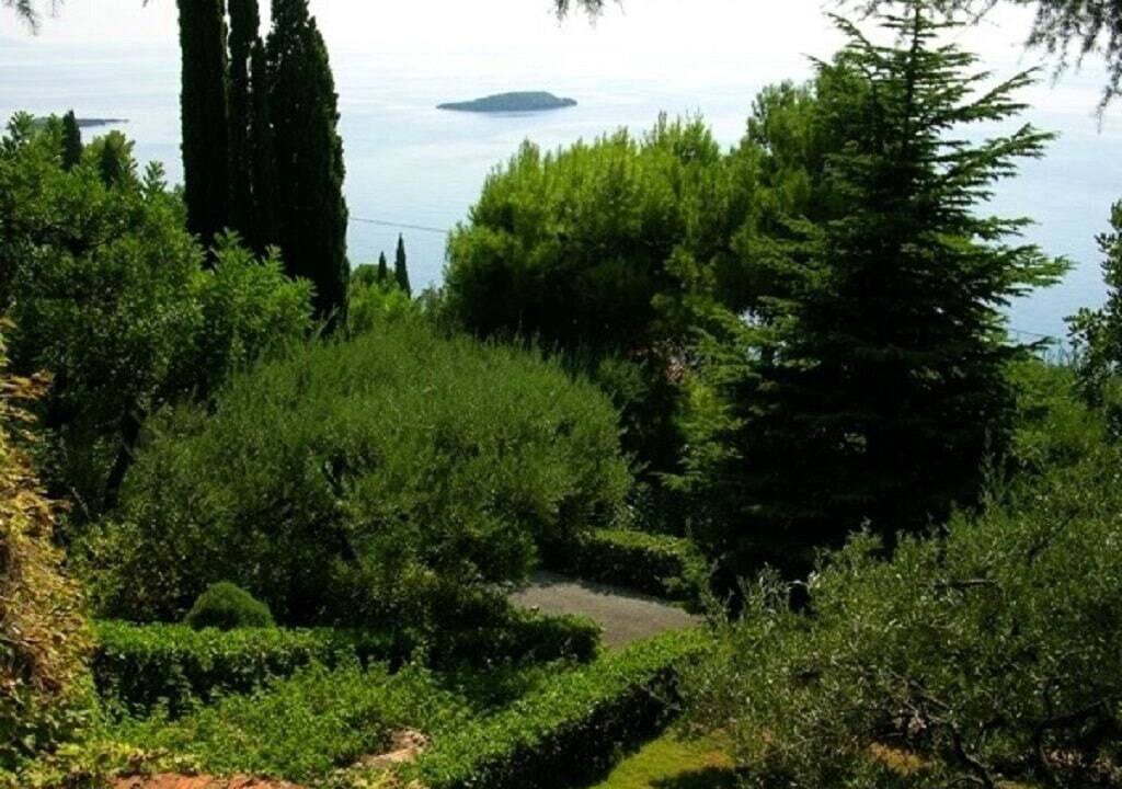 Photo of Others in Maratea