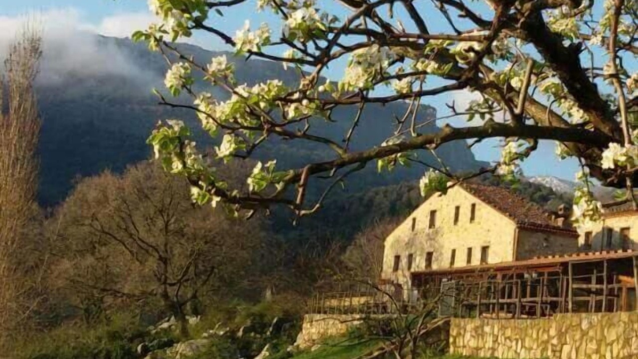 Photo of Outdoor in Castelbuono