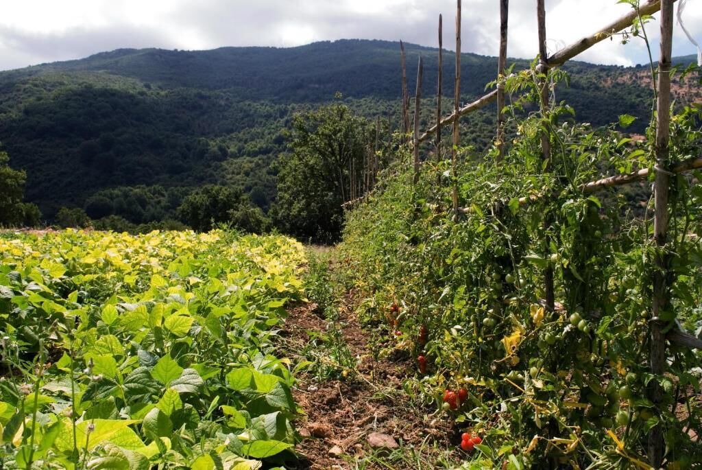Photo of Outdoor in Castelbuono