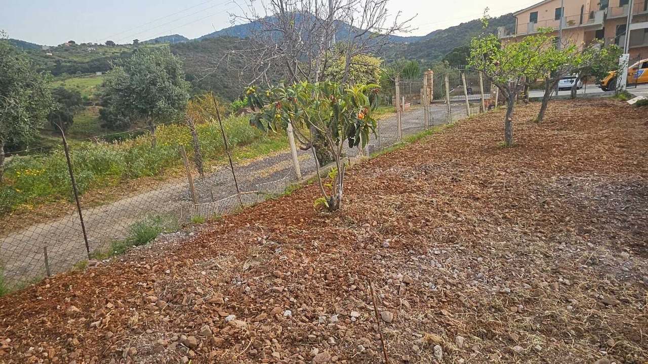 Photo of Outdoor in Pollina