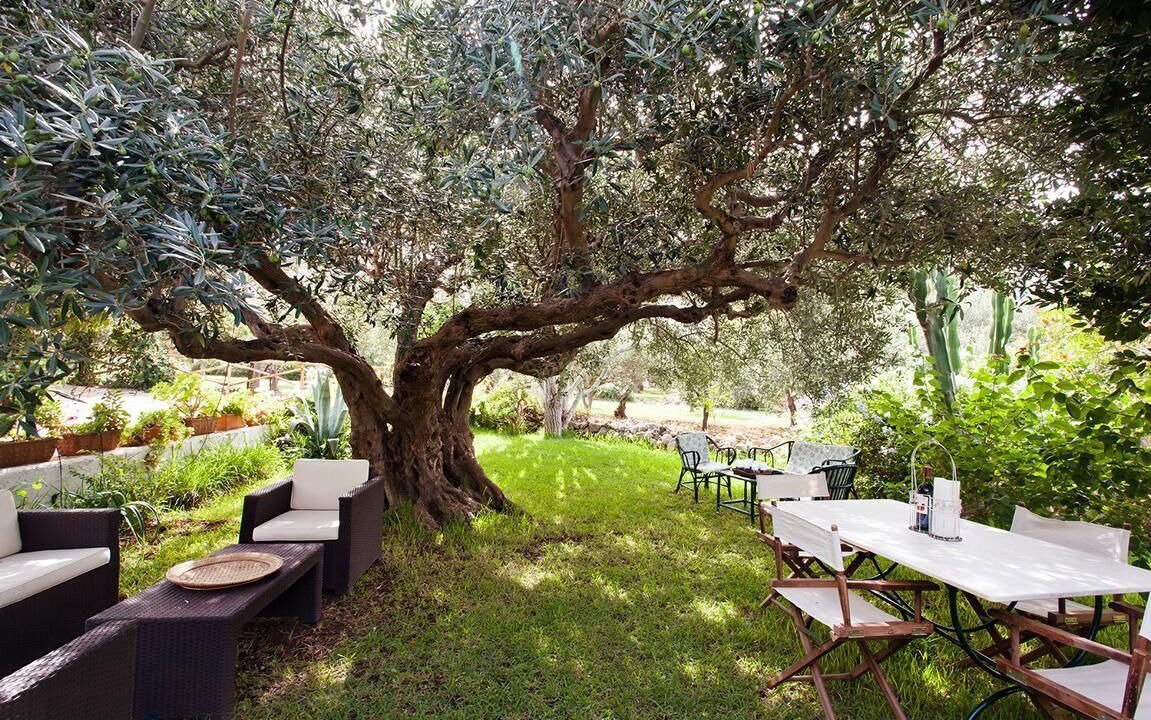 Photo of Outdoor in Castelluzzo