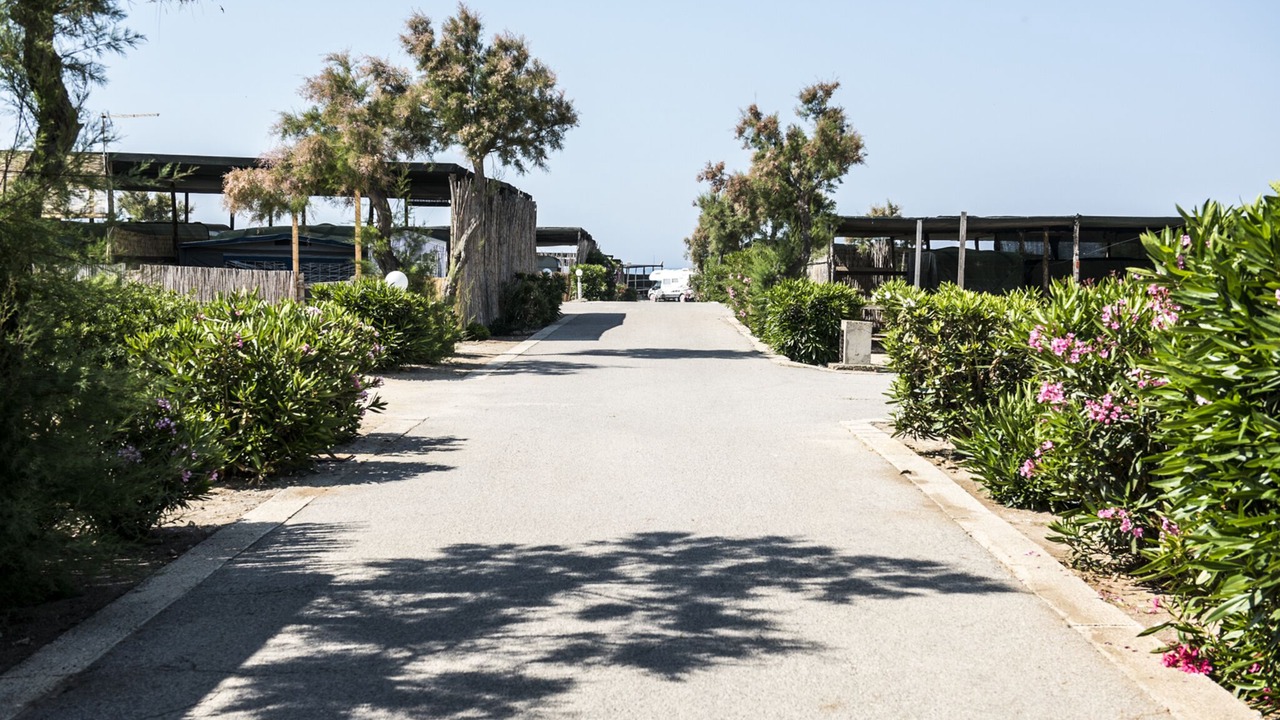 Photo of Outdoor in Punta Braccetto