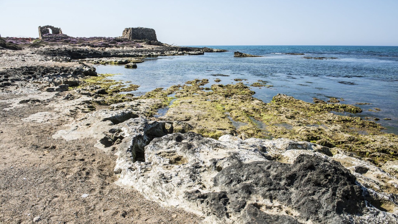 Photo of Others in Punta Braccetto
