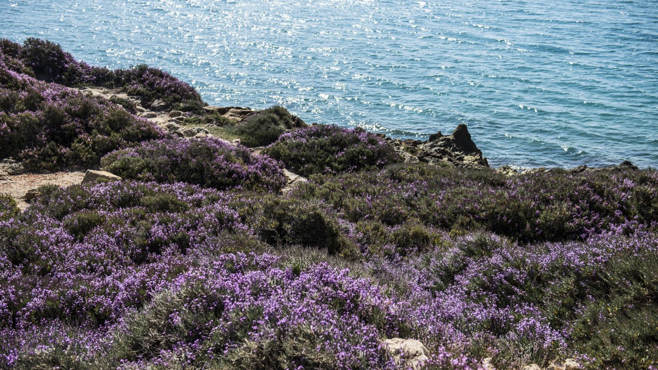 Photo of Outdoor in Punta Braccetto