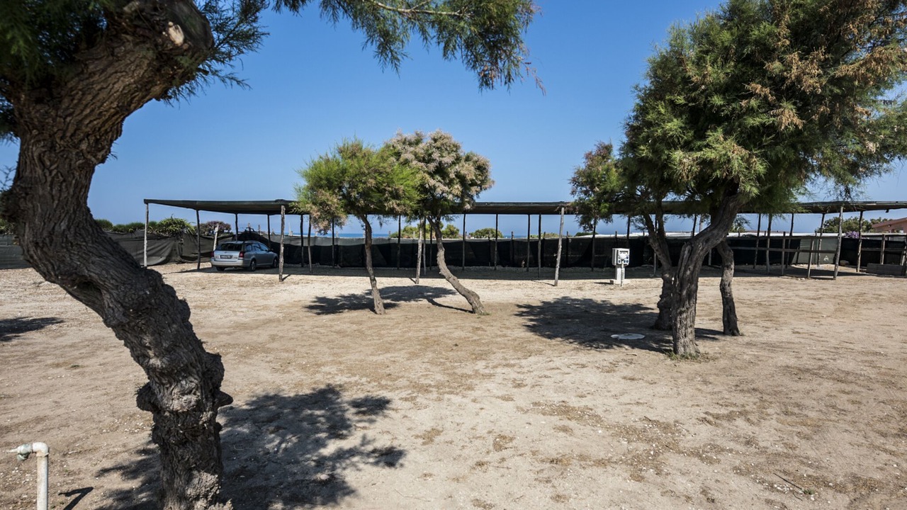 Photo of Others in Punta Braccetto