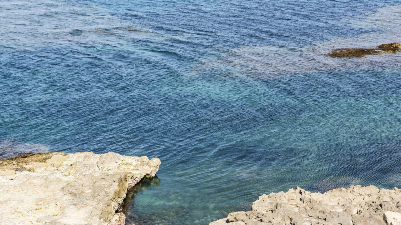 Photo of Others in Punta Braccetto