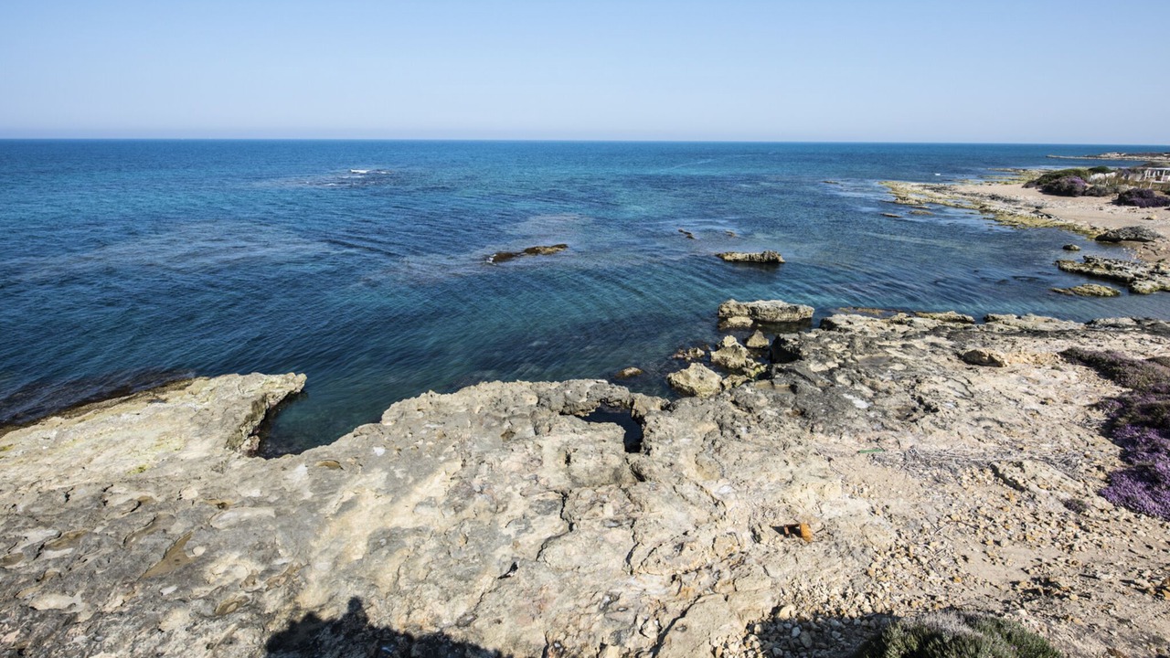 Photo of Others in Punta Braccetto