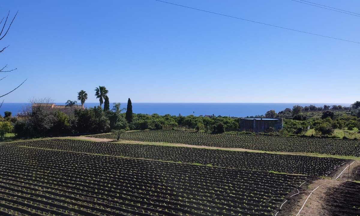 Photo of Outdoor in Aci Catena