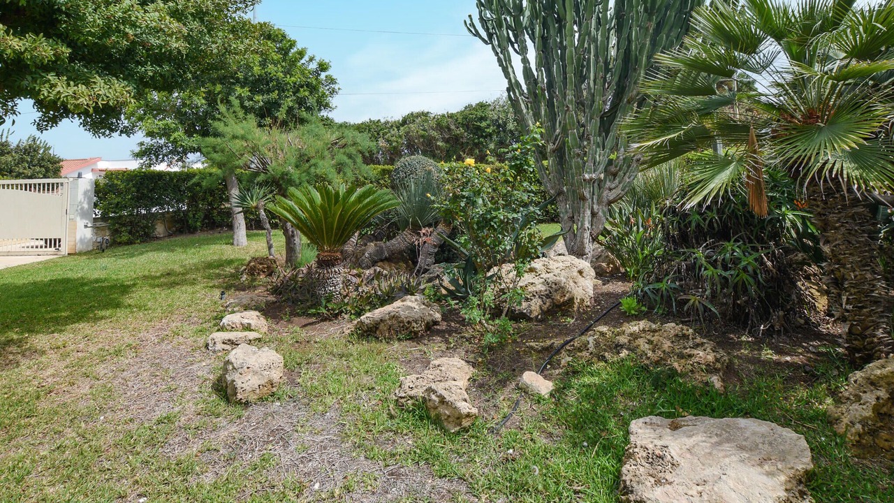 Photo of Outdoor in San Lorenzo