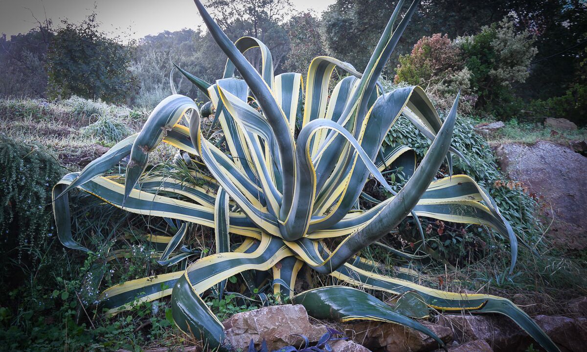 Photo of Outdoor in Pollina