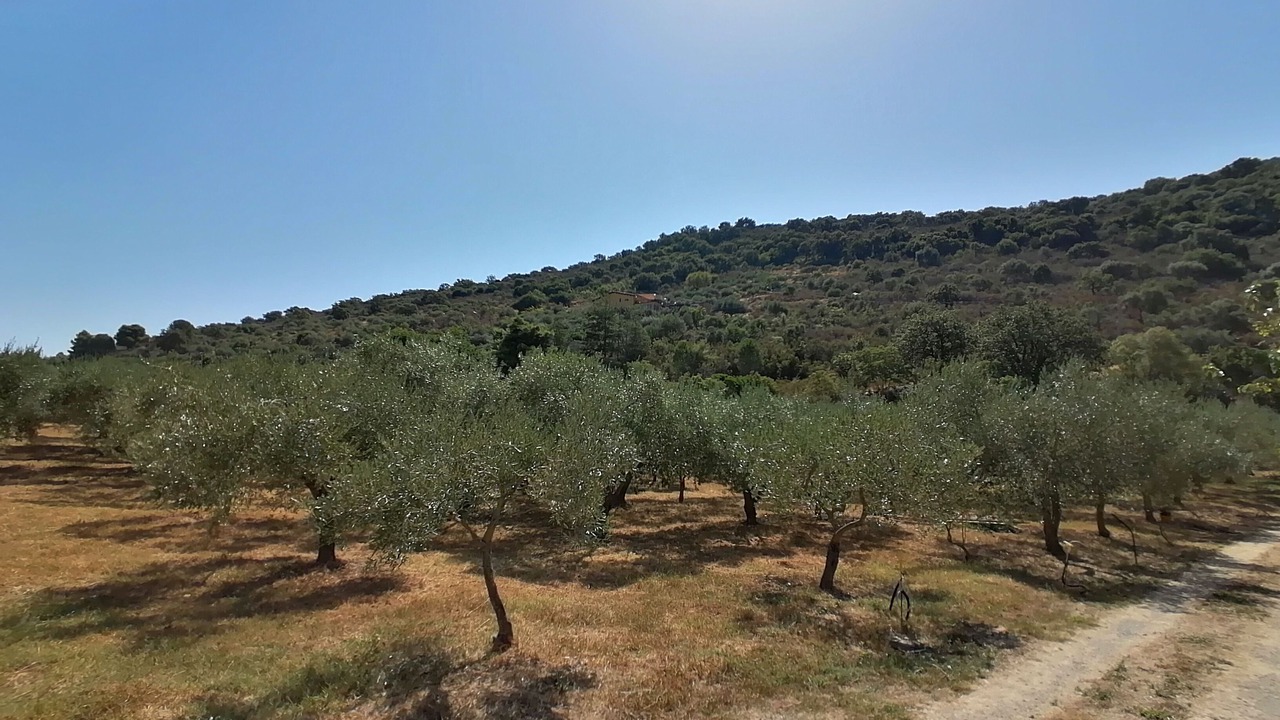 Photo of Others in Pollina