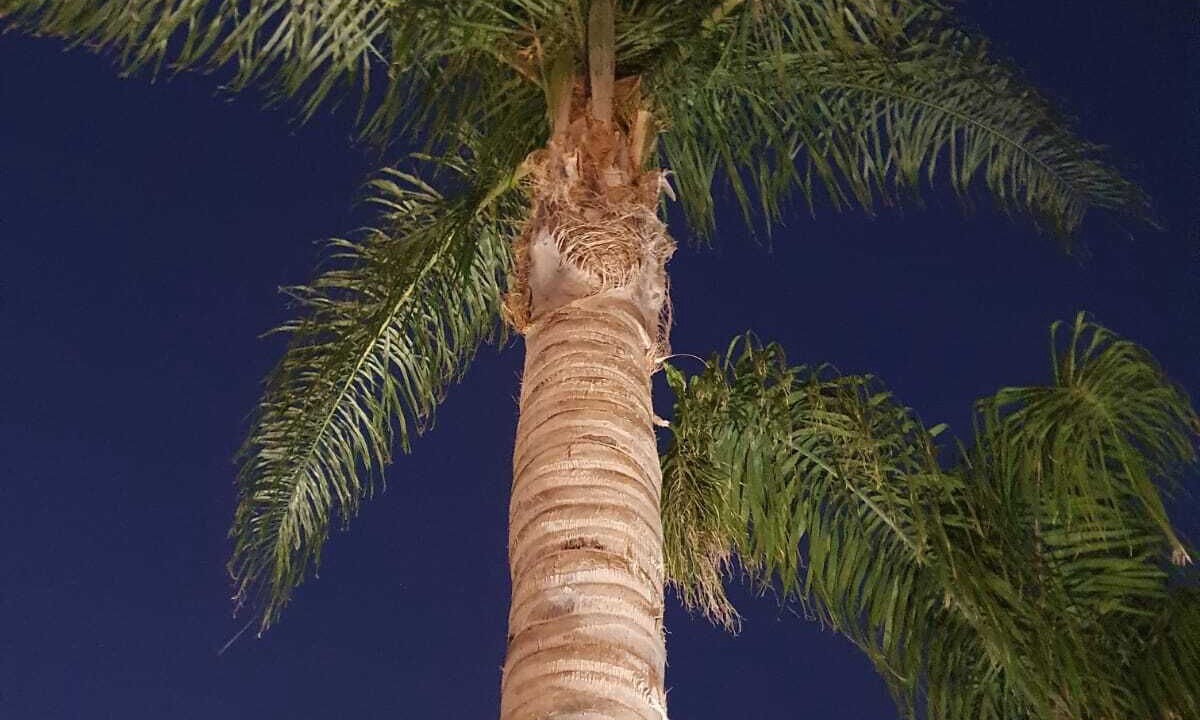 Photo of Outdoor in Macari