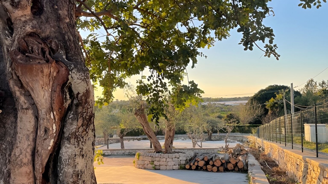 Photo of Outdoor in Pozzallo