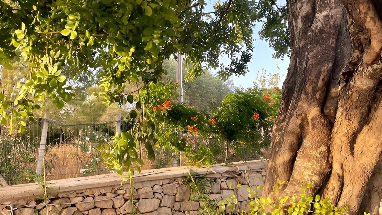 Photo of Outdoor in Pozzallo