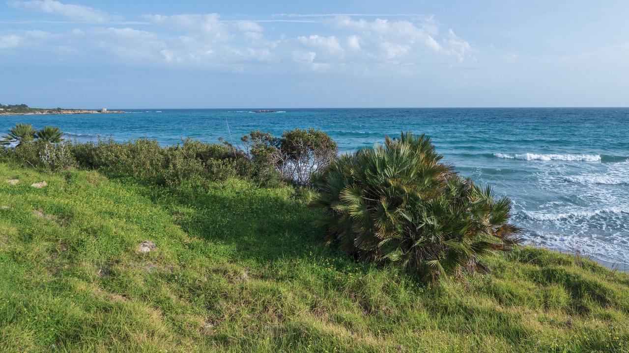 Photo of Others in Punta Milocca
