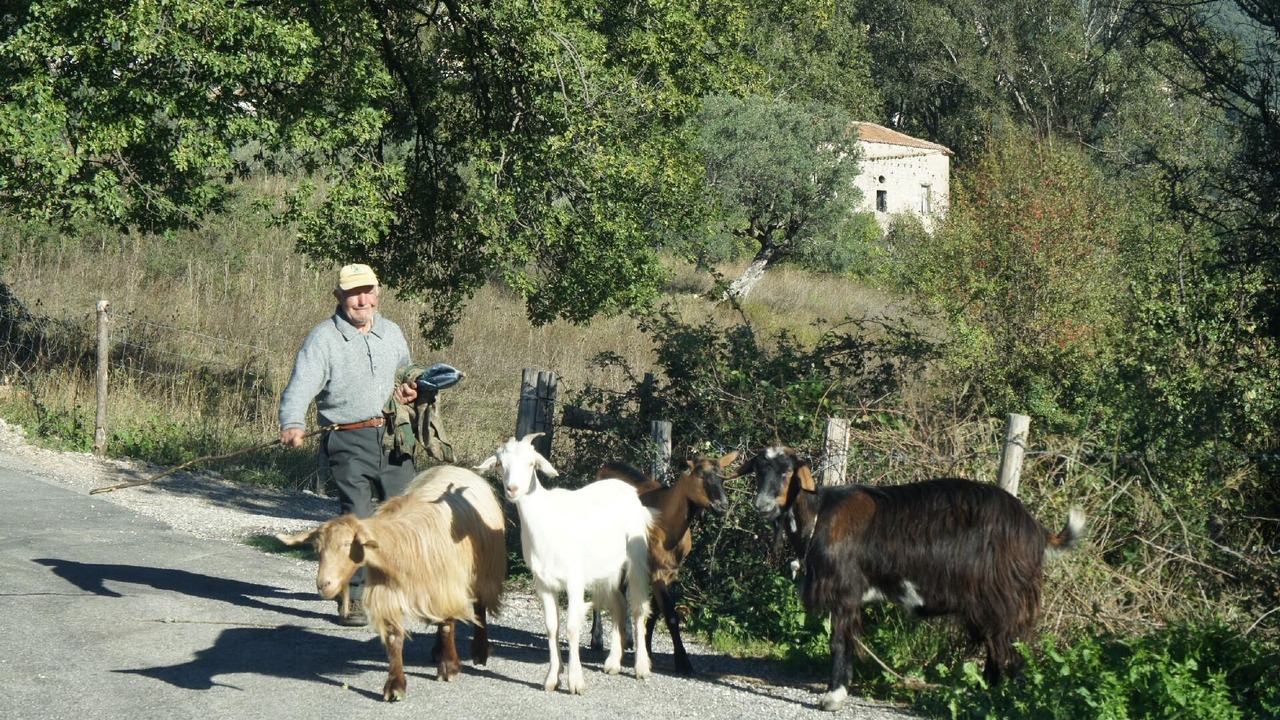 Photo of Outdoor in Ascea