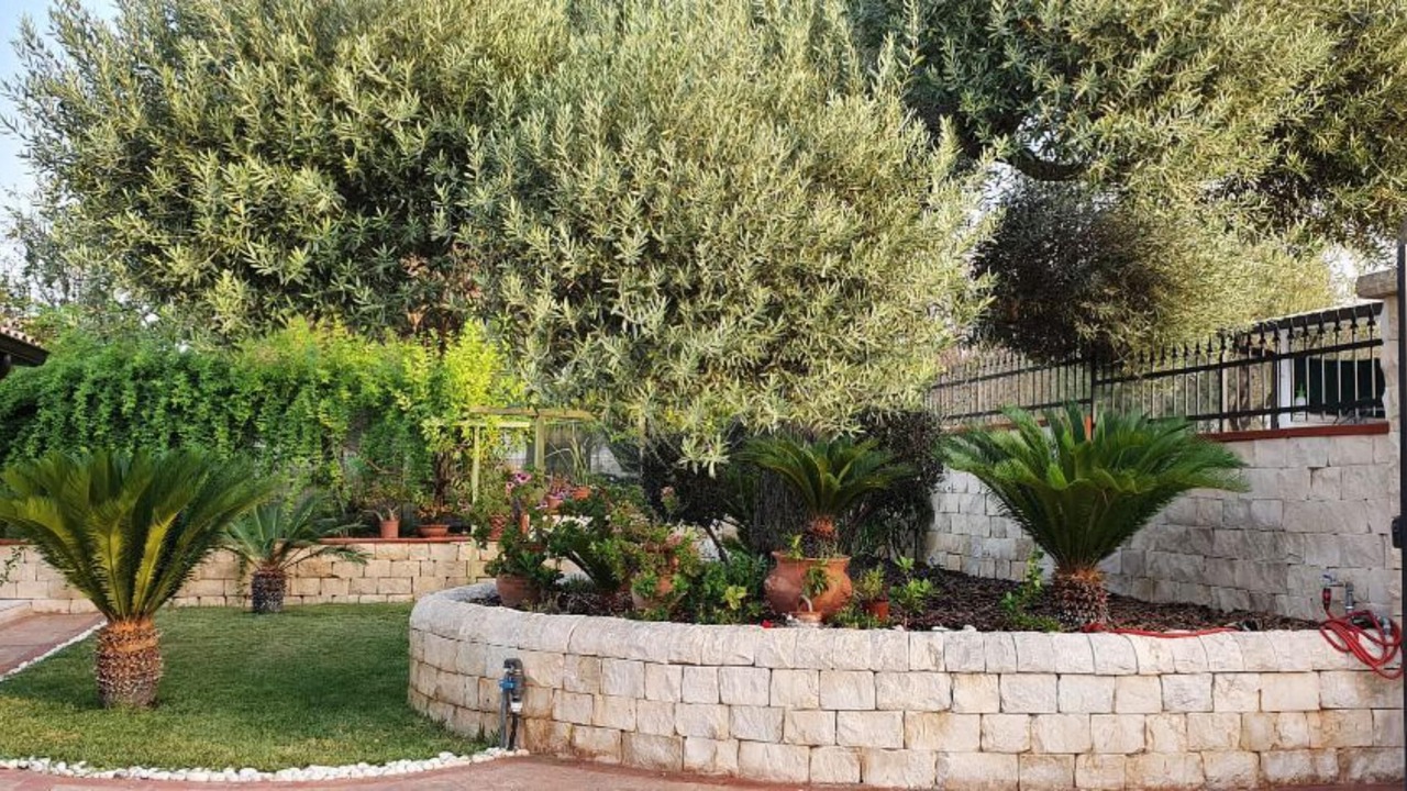 Photo of Outdoor in Noto