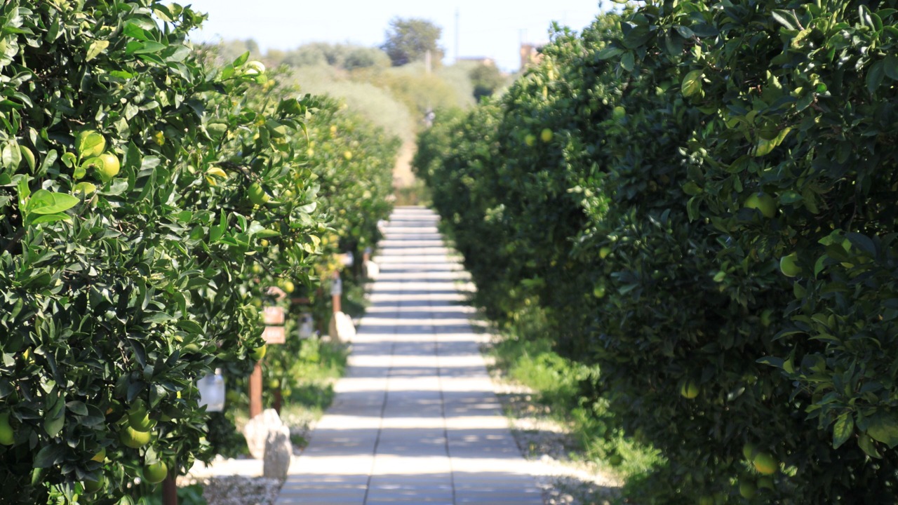 Photo of Outdoor in Casale Modica