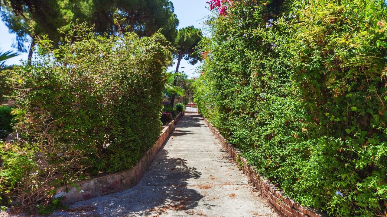 Photo of Outdoor in Acradina