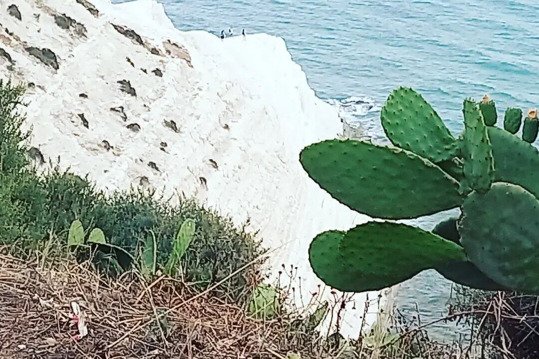 Photo of Outdoor in Realmonte