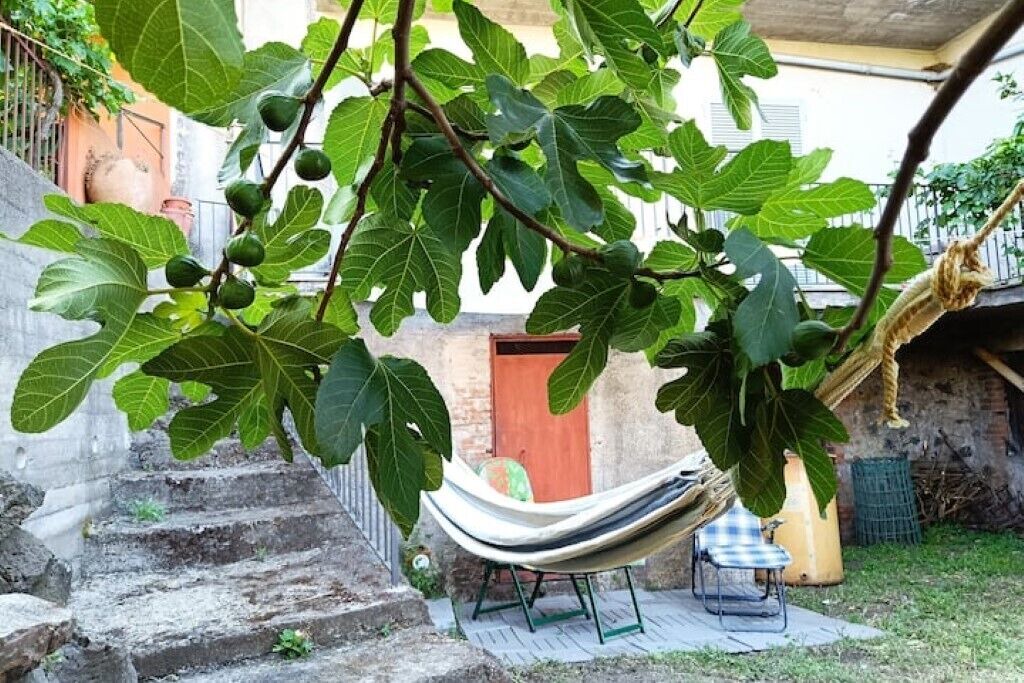 Photo of Outdoor in Solicchiata