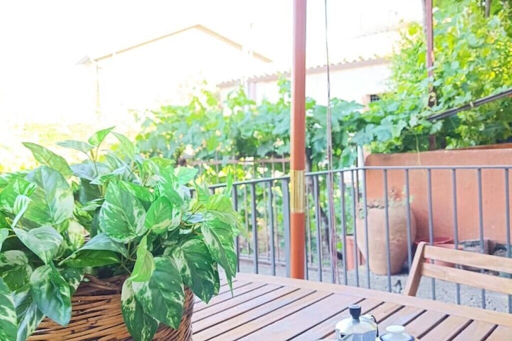 Photo of Outdoor in Solicchiata