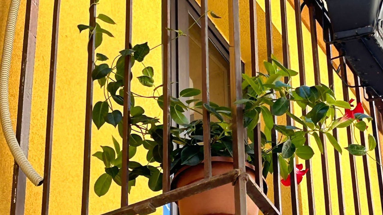 Photo of Outdoor in Motta Camastra
