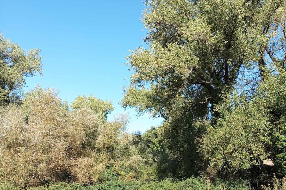 Photo of Outdoor in Santa Margherita di Belice