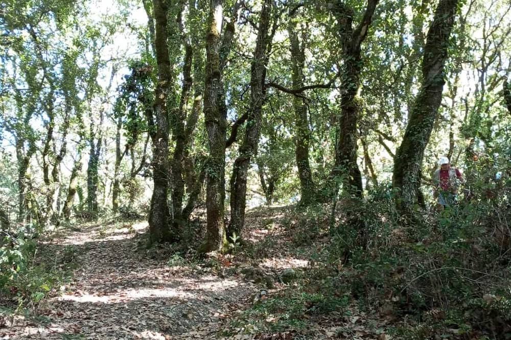 Photo of Outdoor in Santa Margherita di Belice