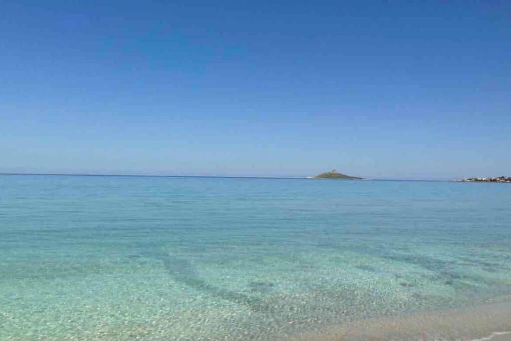 Photo of Others in Isola delle Femmine