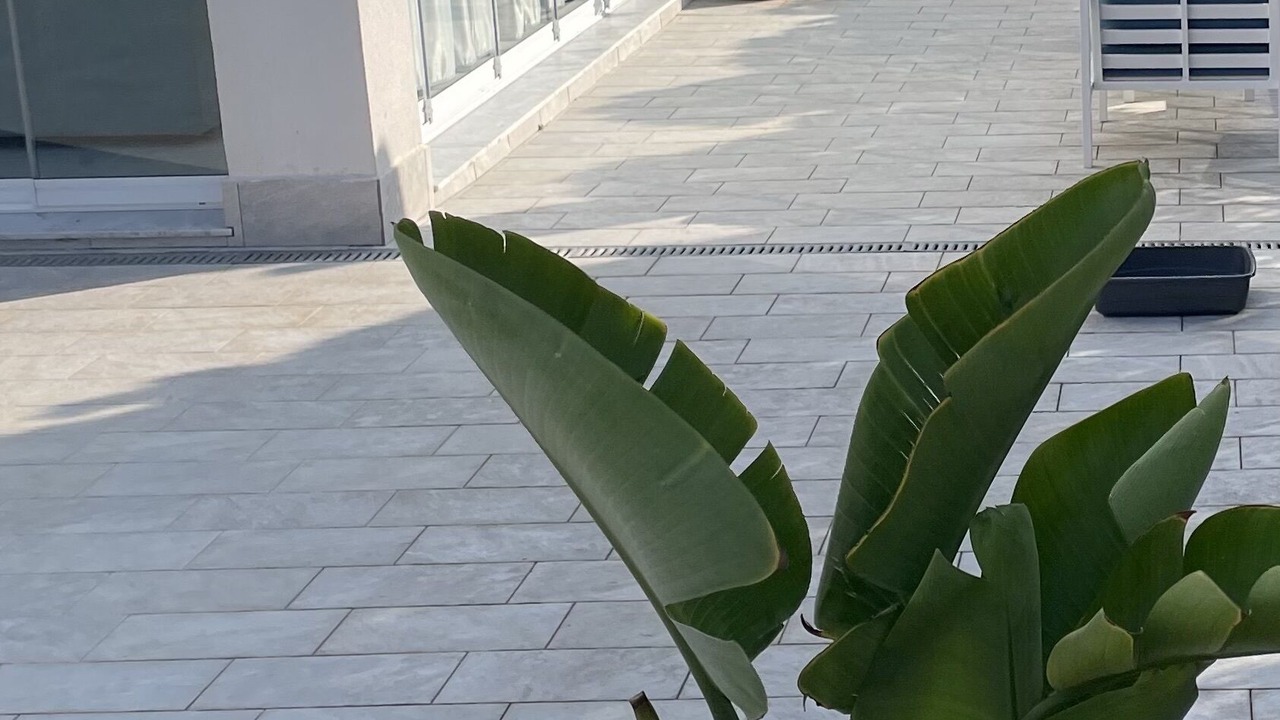 Photo of Outdoor in Isola delle Femmine