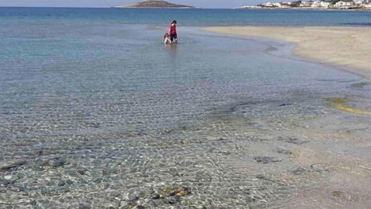 Photo of Others in Isola delle Femmine