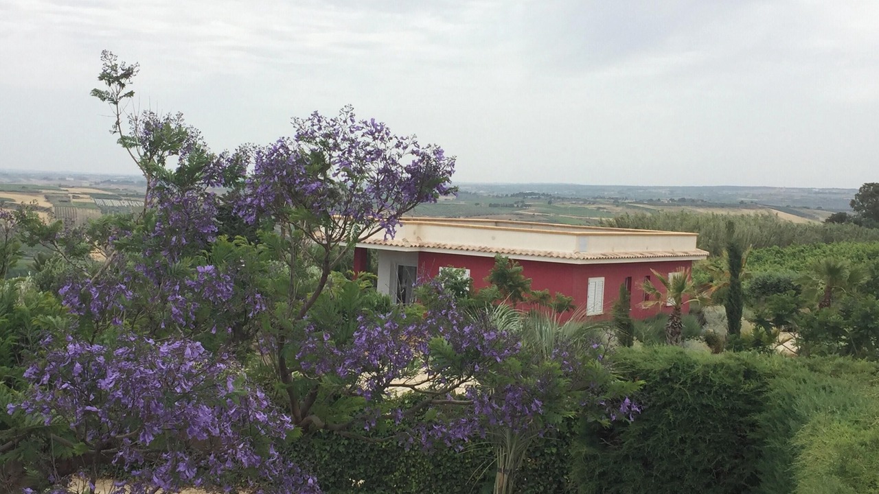 Photo of Outdoor in Sciacca