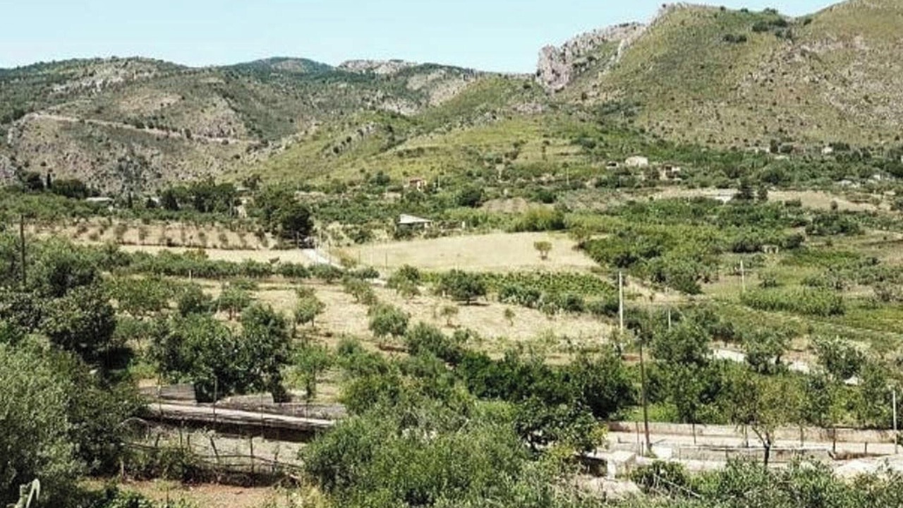 Photo of Others in Caccamo