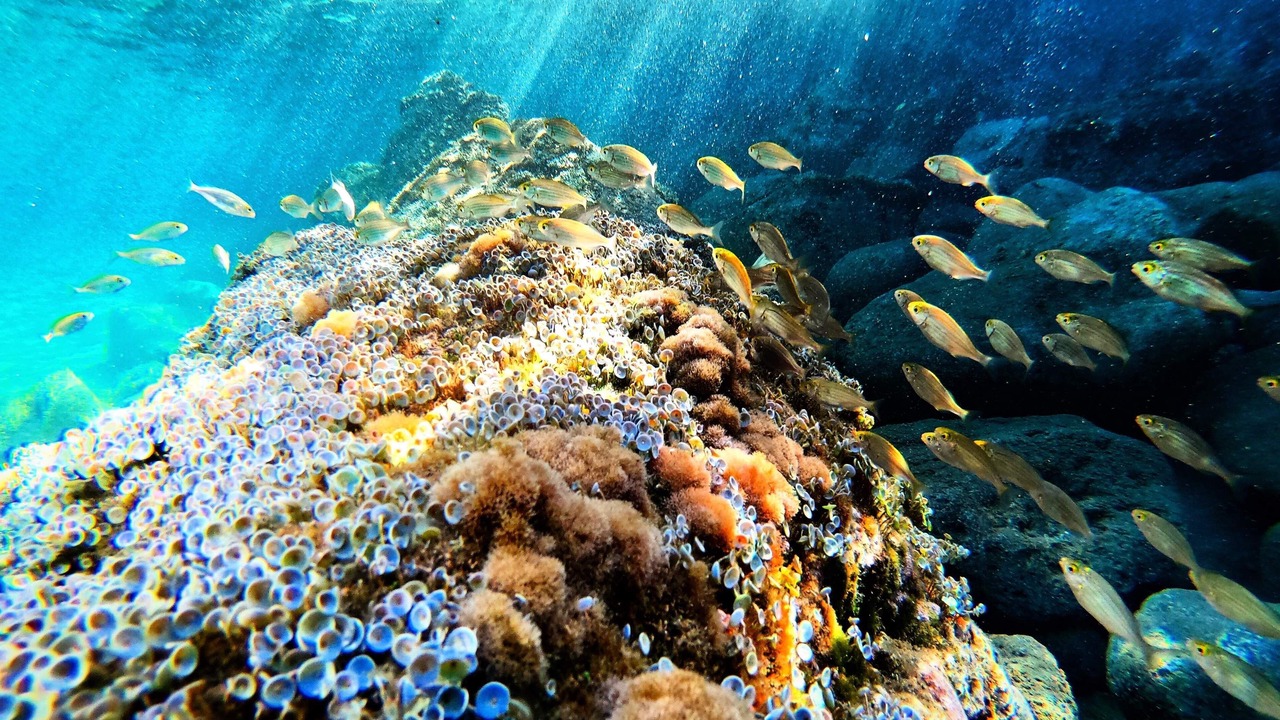 Photo of Outdoor in Panarea
