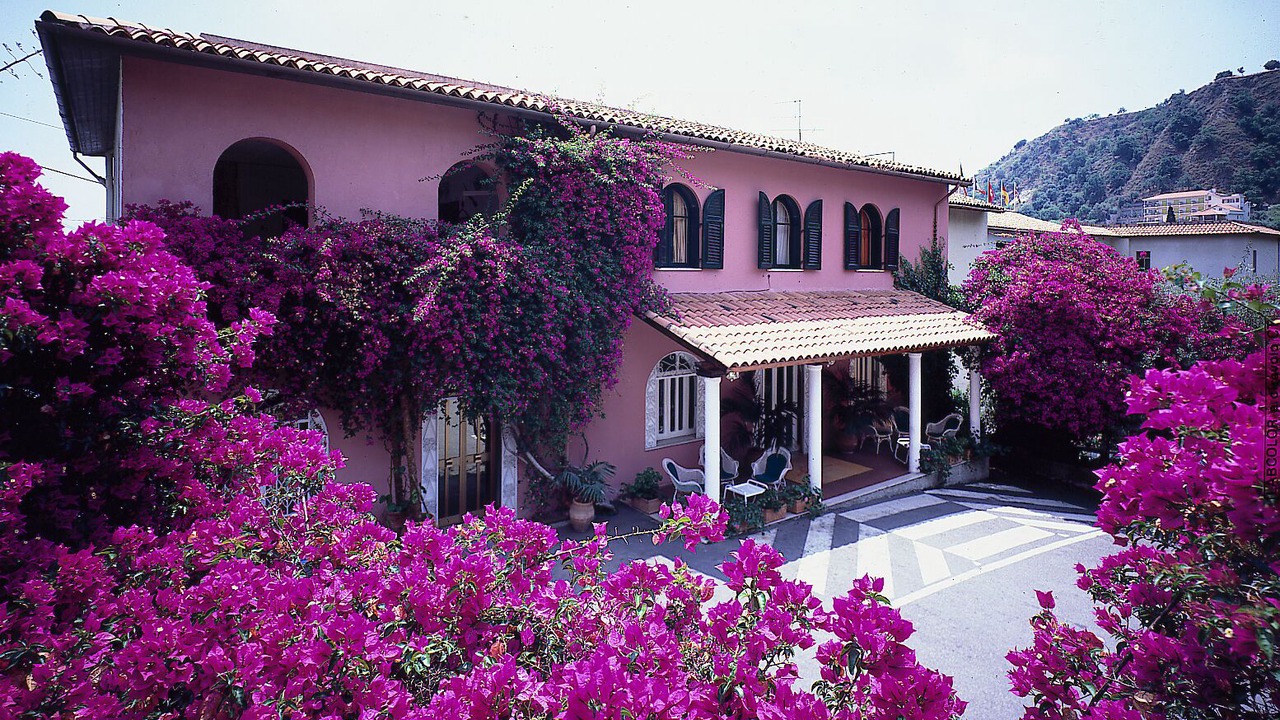 Photo of Outdoor in Spisone