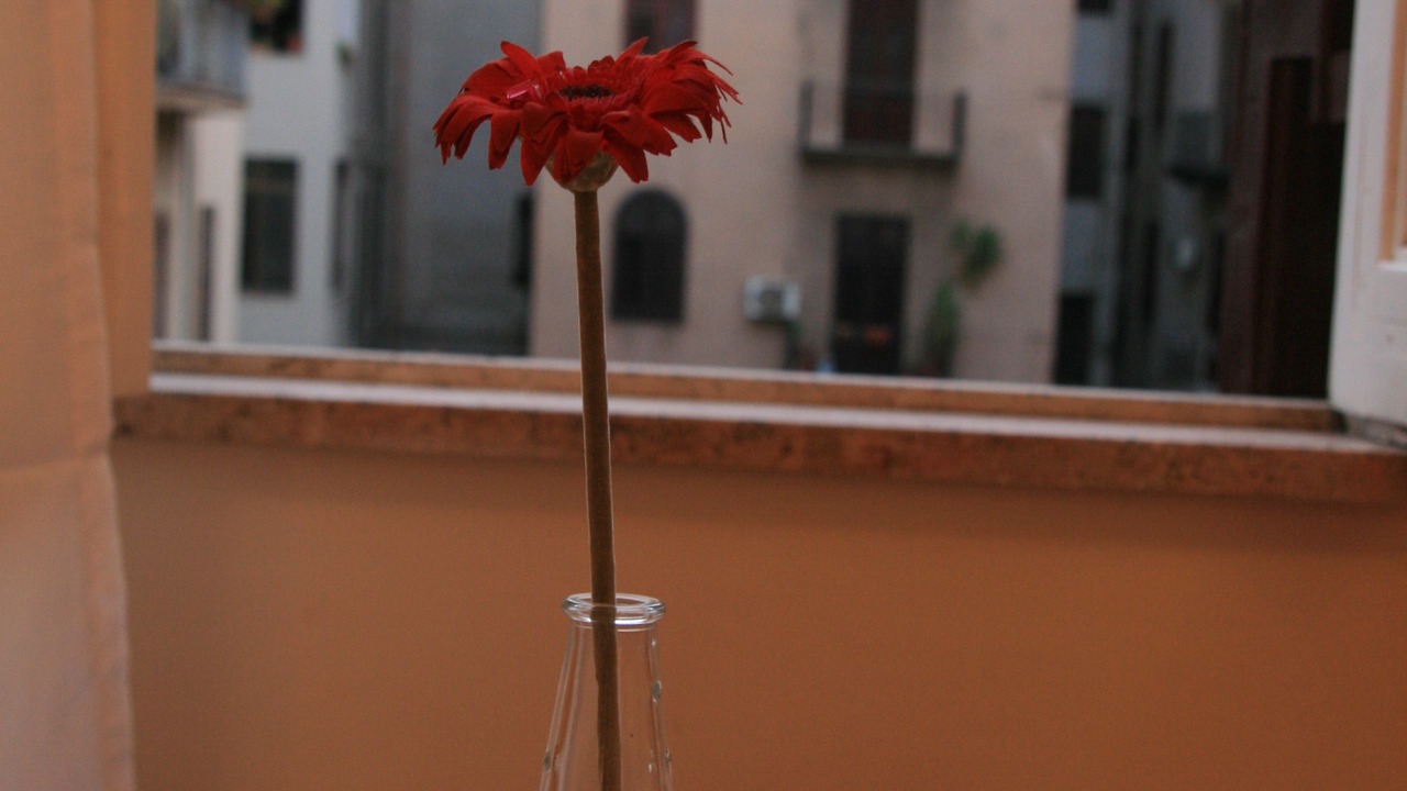 Photo of Others in Ruggero Settimo