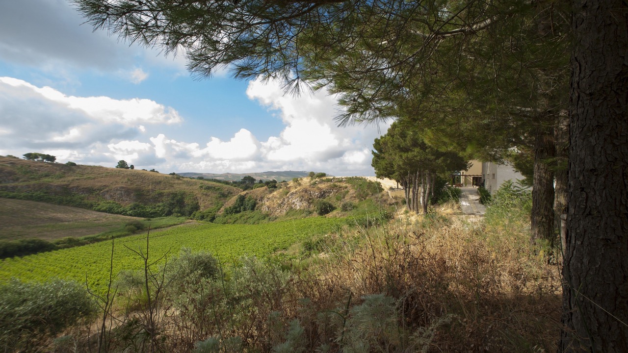 Photo of Others in Santa Ninfa