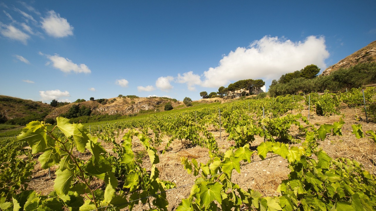 Photo of Outdoor in Santa Ninfa